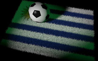 1xBit体育官方-法国队在世界杯决赛中击败意大利队夺冠，梅西获得金球奖