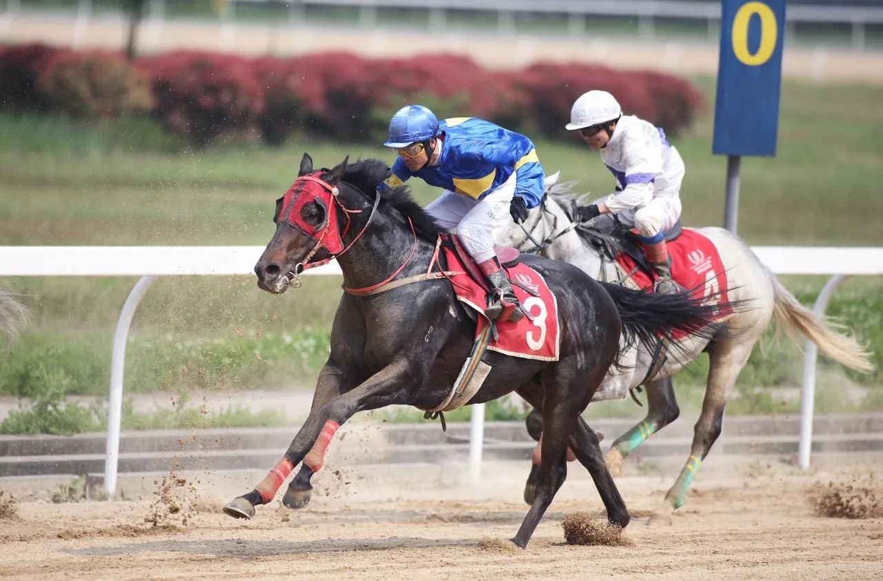 1xBit体育网页版-包含马列卡取得连胜，冲击冠军积极进取的词条